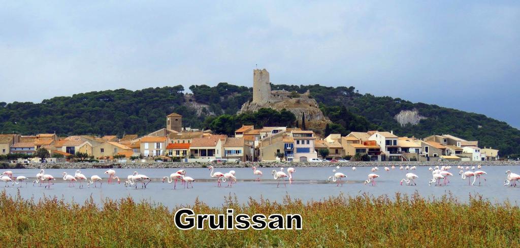 Cit'Hotel Hotel Las Cigalas Villeneuve-lès-Béziers エクステリア 写真